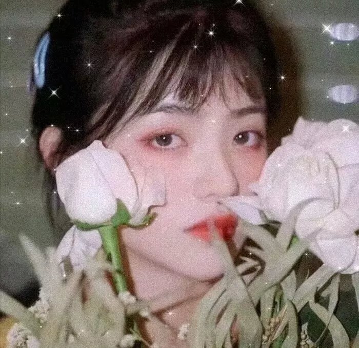 豺狼之吻高清播放