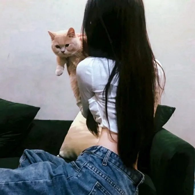森林在线观看
